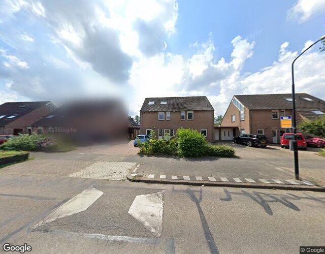 Roerdomp 45