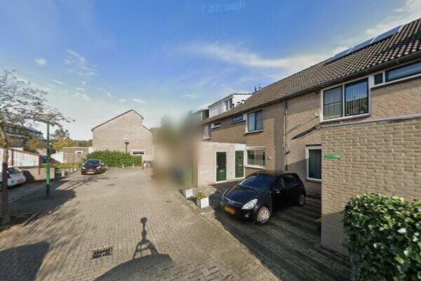 Boomstede 713