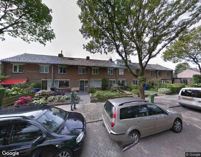 Dotterbloem. 36