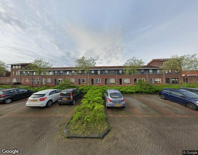 Vuurvlinder 11