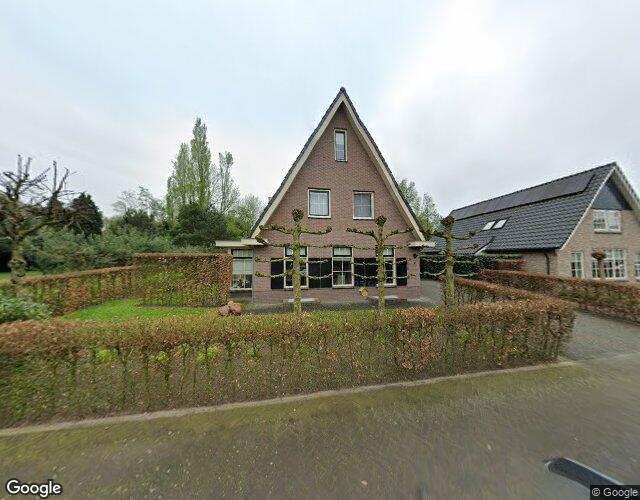 Bekestere 8