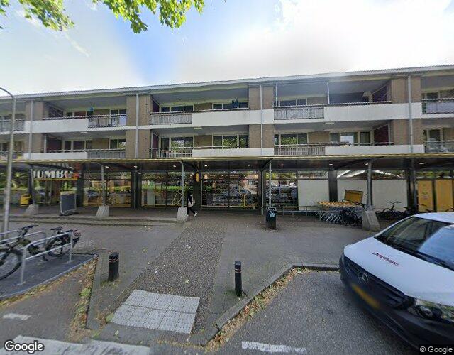 Wiekslag 313