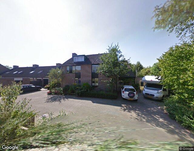 Kameelvlinder 15