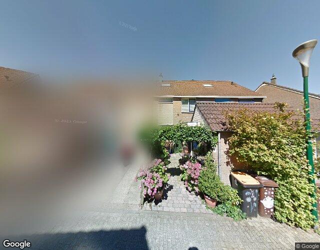Goudse Steen 29