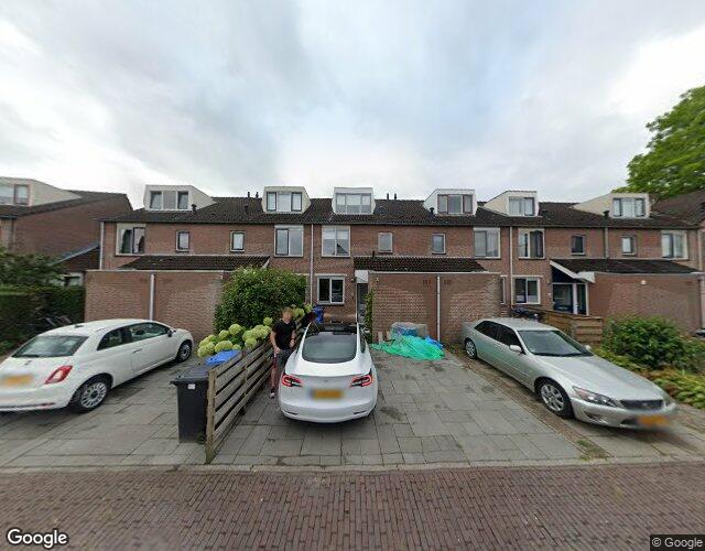 Goudsbloem 54