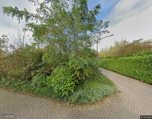 Wielstraat 8
