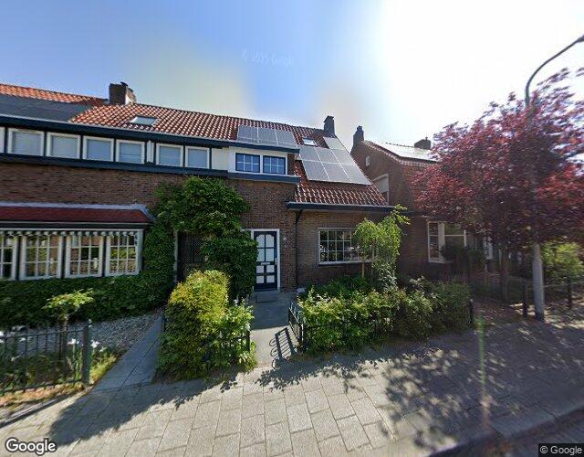 Zonnebloems. 14