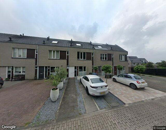 Steenarend 20