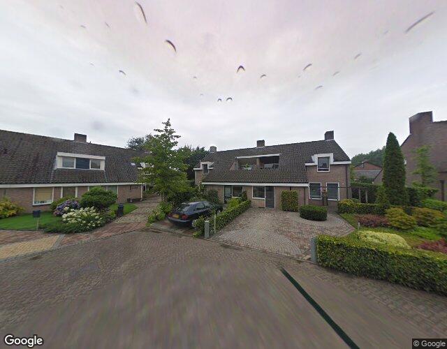 Vlasaard 4