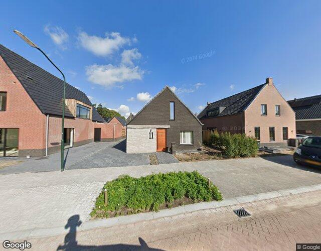 Korenbloem 11