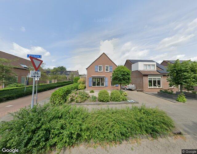 Roerdomp 85