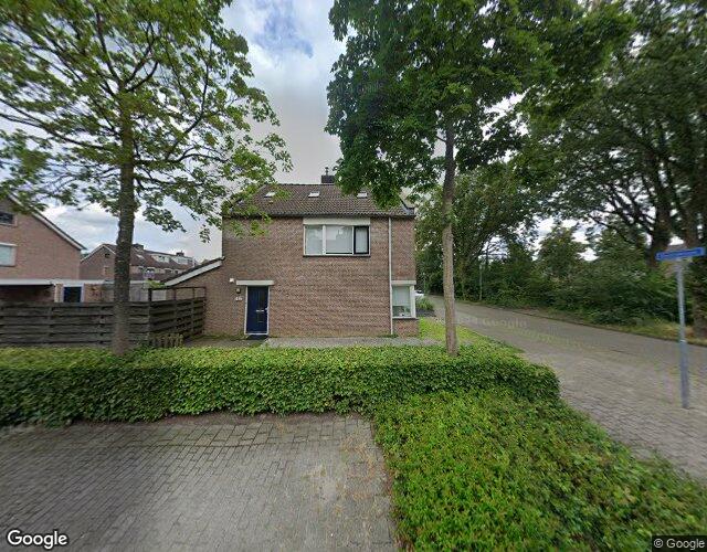 Sleutelbloem 46