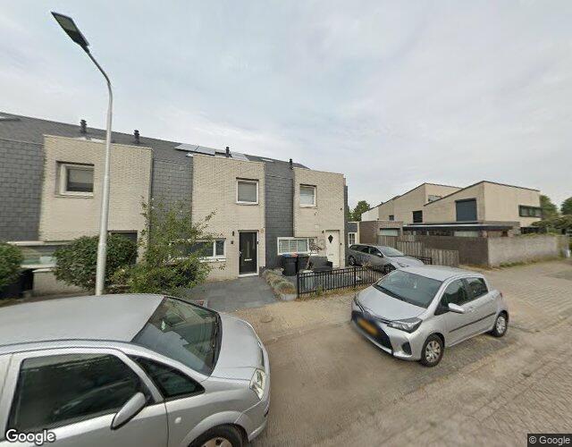 Metslawiers. 3