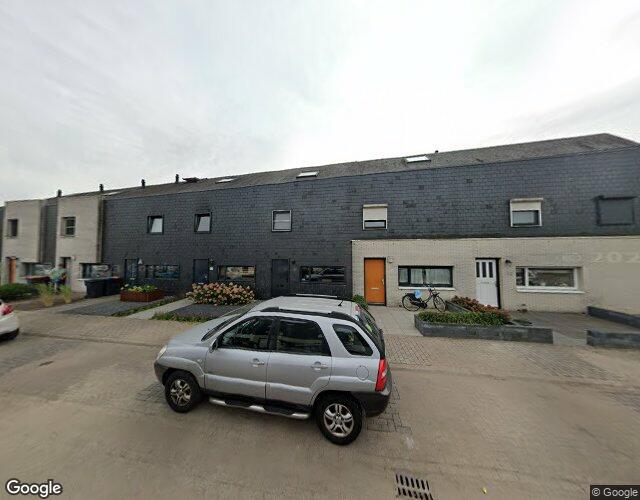 Metslawiers. 28