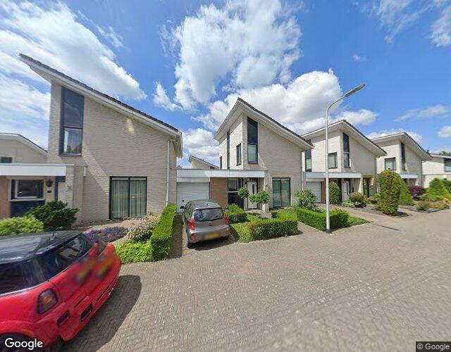 Kattedoorn 6