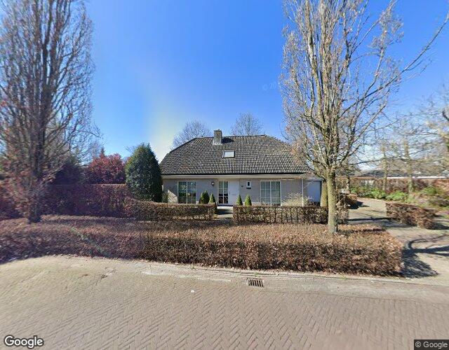 Sleutelbloem 13
