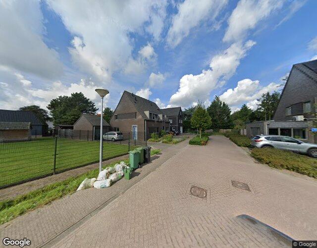 Rozemarijn 12