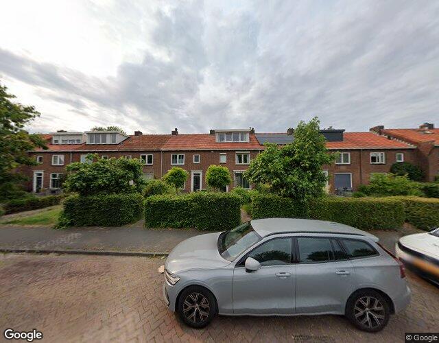Schoonvelds. 36