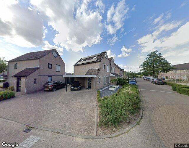 Vlierbloem 3
