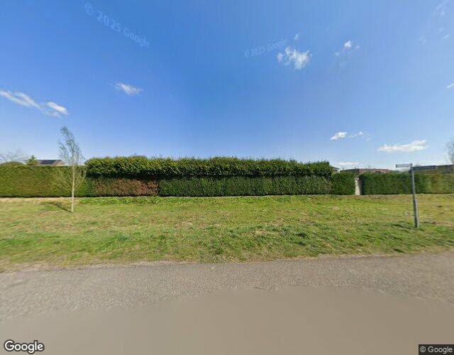 Boterbloem 4
