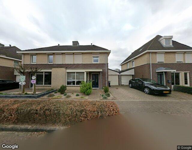 Gagel 7