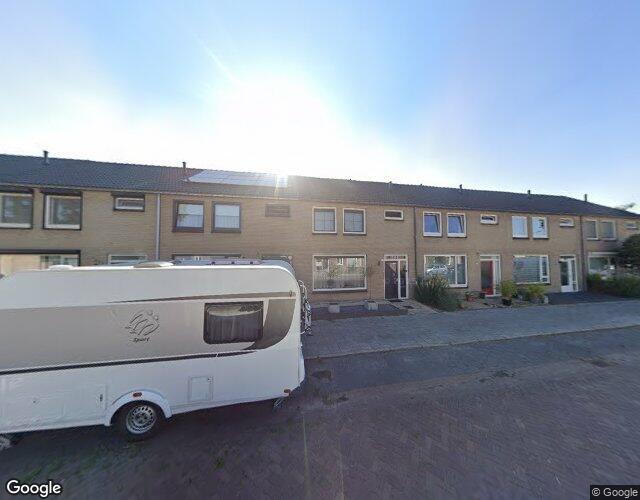 Bosveld 619