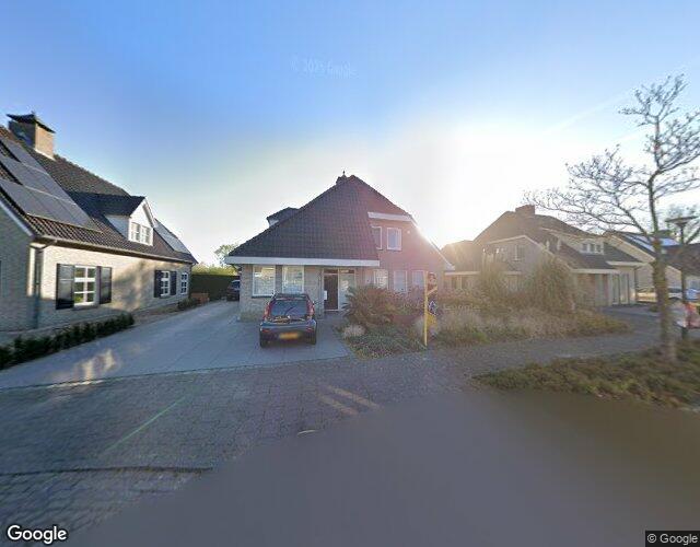 Pinksterbloem 6