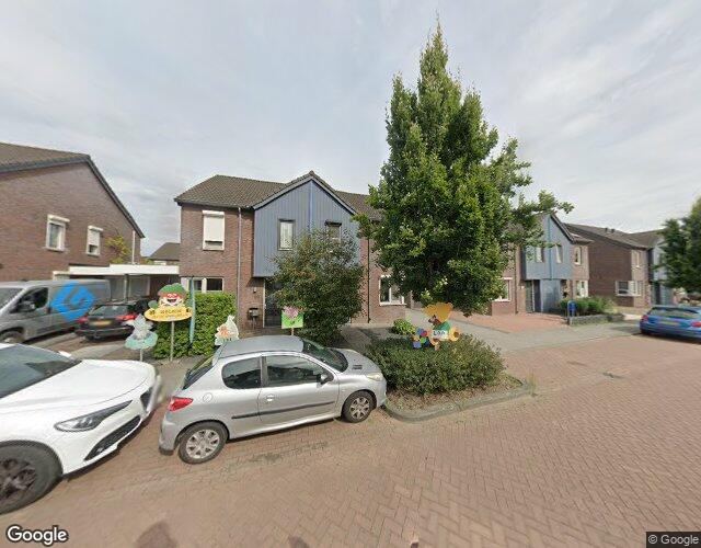 Paardebloem 18