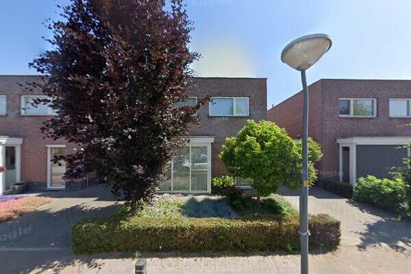 Goudhaantje 5