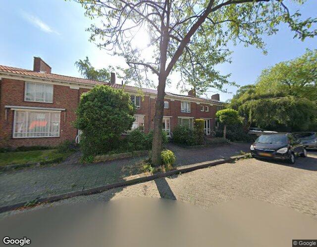 Boerhaavela. 71