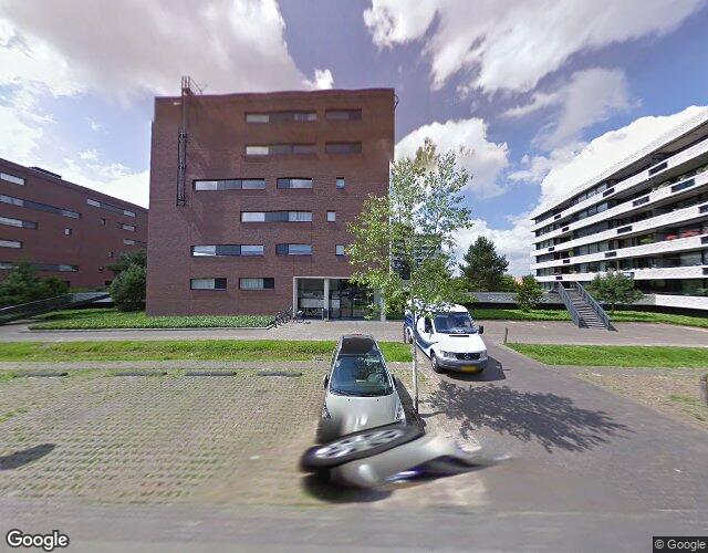 Zandbloem 37