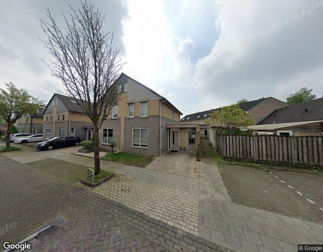 Paardebloem 2