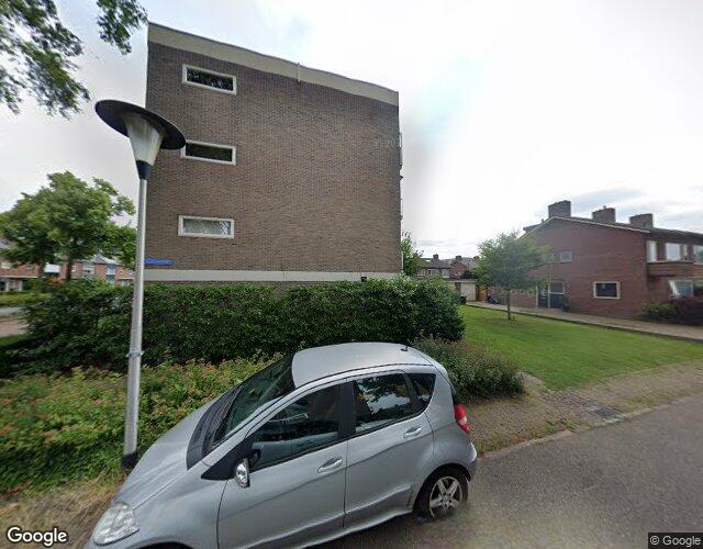 Boerhaavela. 93