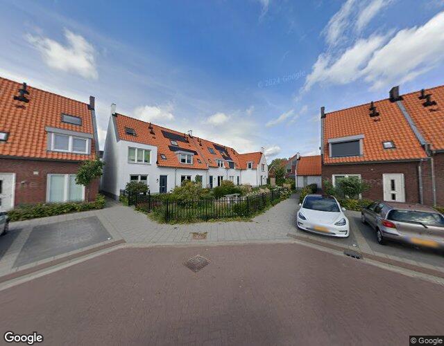Kleine Vos 12