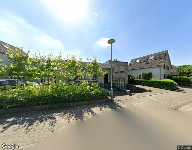Zilverschoon 35