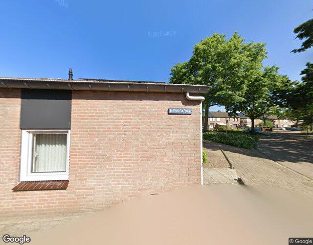Boterbloem 9