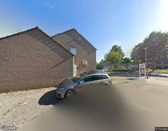 Sleutelbloem 3