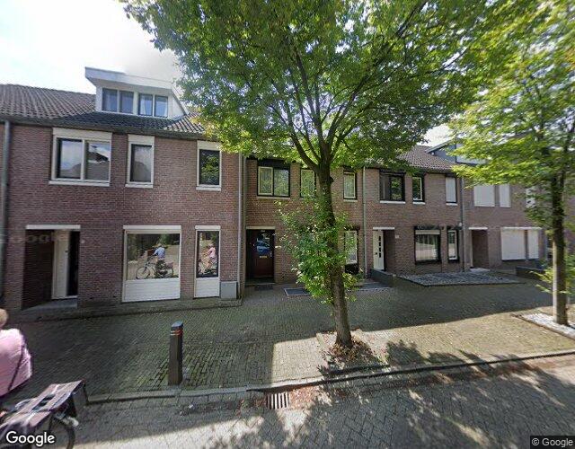 Schutsboom 12