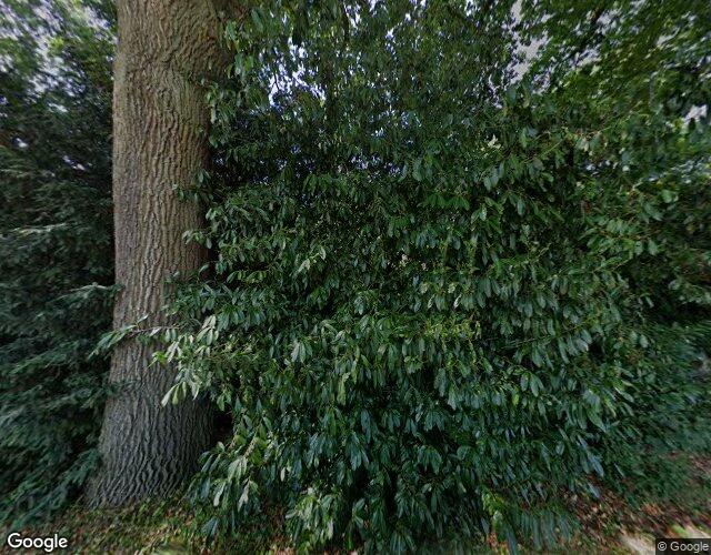 Huis te koop Lingsforterweg 59