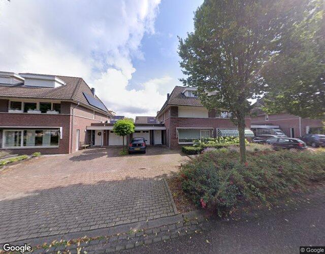 Paardebloem 9
