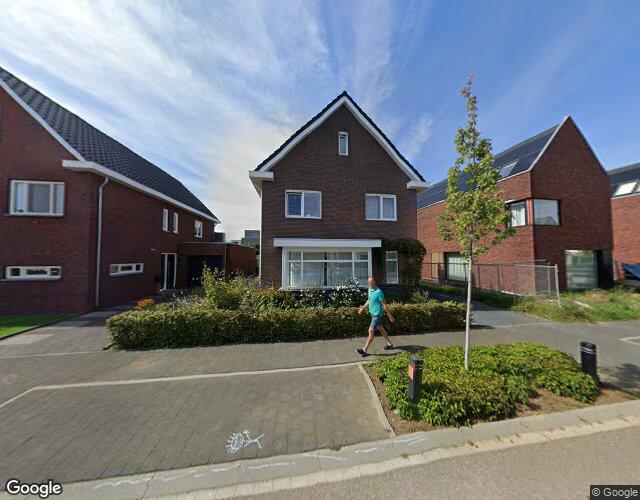 Sleutelbloem 22