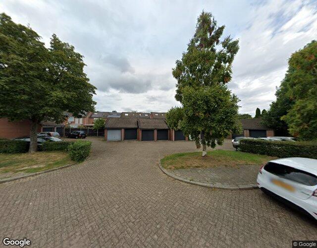Sleutelbloem 10