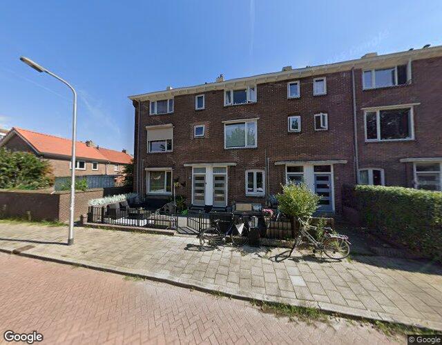 Zonnebloems. 42