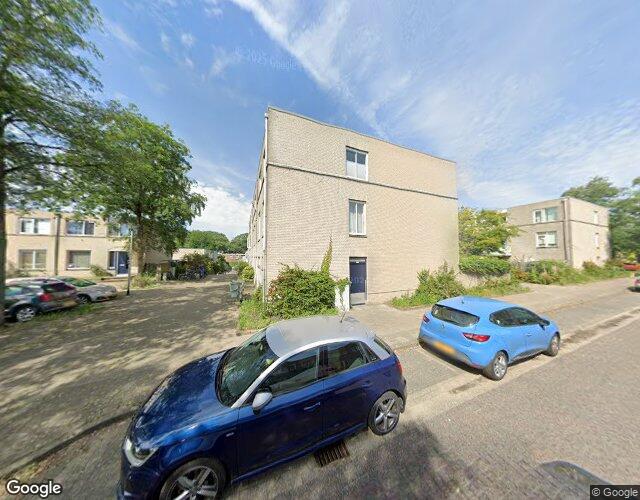 Ridderspoor 89