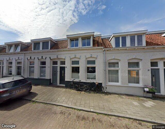 Oude Azalea. 11