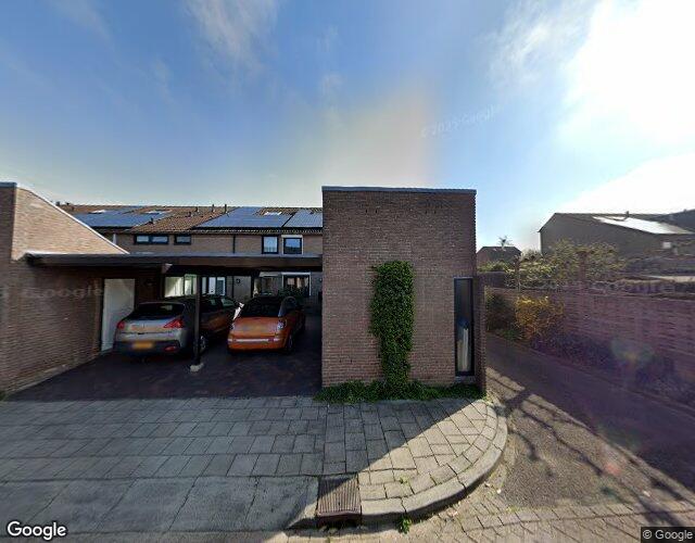 Wildschut 11