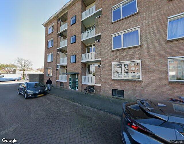 Pijlstaarth. 7