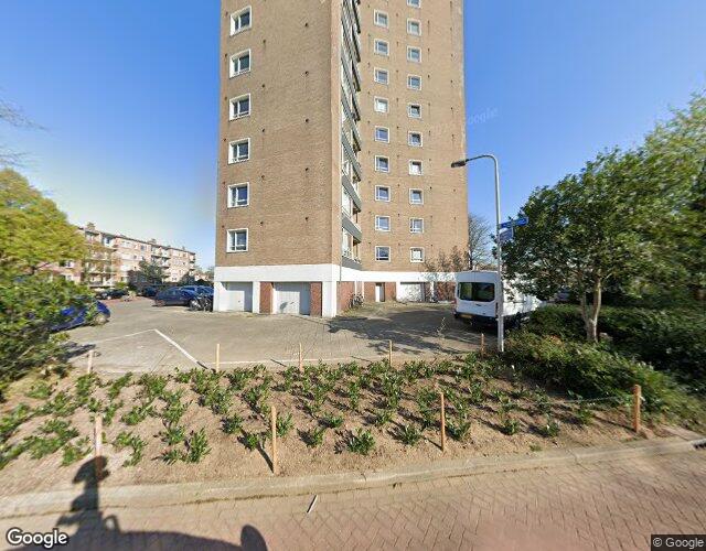 Heidebloems. 103