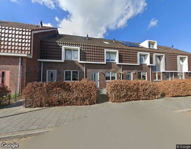 Zwanenbloem 39