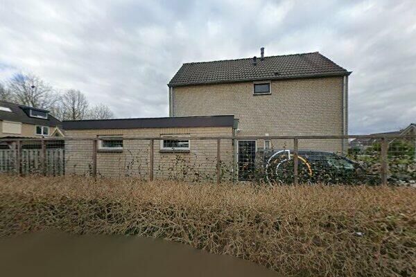 Goudreinet 11